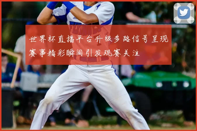 世界杯直播平台升级多路信号呈现赛事精彩瞬间引发观赛关注