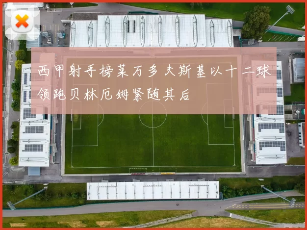 西甲射手榜莱万多夫斯基以十二球领跑贝林厄姆紧随其后