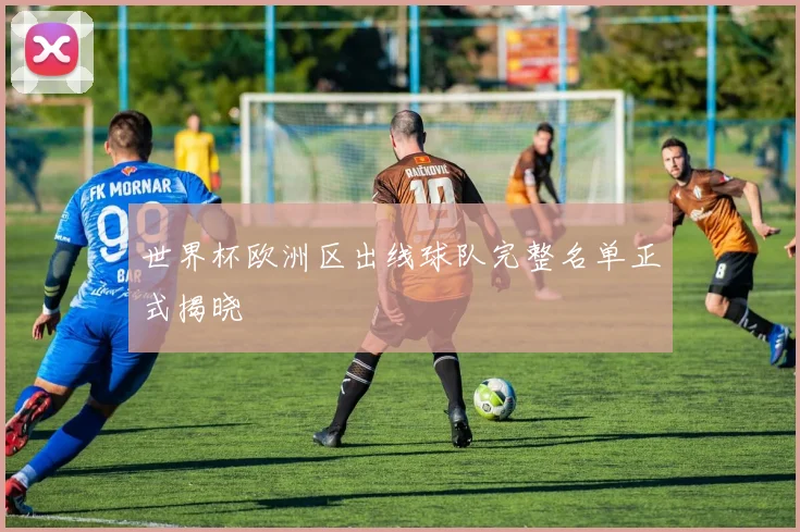 世界杯欧洲区出线球队完整名单正式揭晓