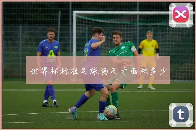 世界杯标准足球场尺寸面积多少
