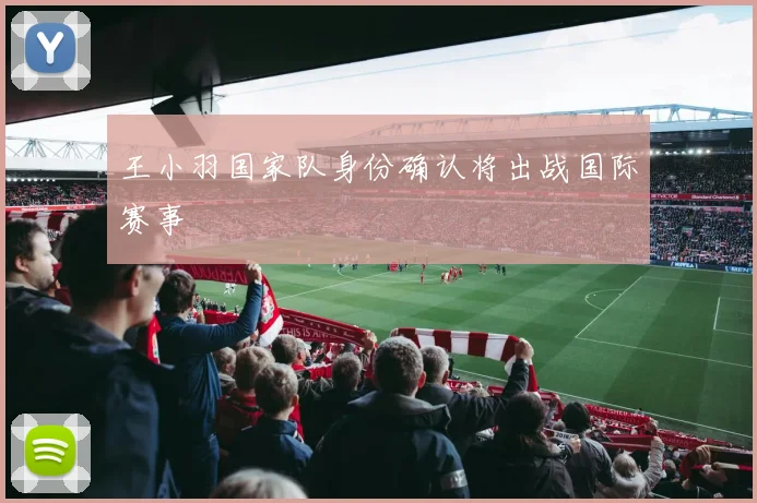王小羽国家队身份确认将出战国际赛事